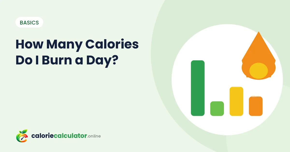 Flame and gauge graphic showing calories burned per day